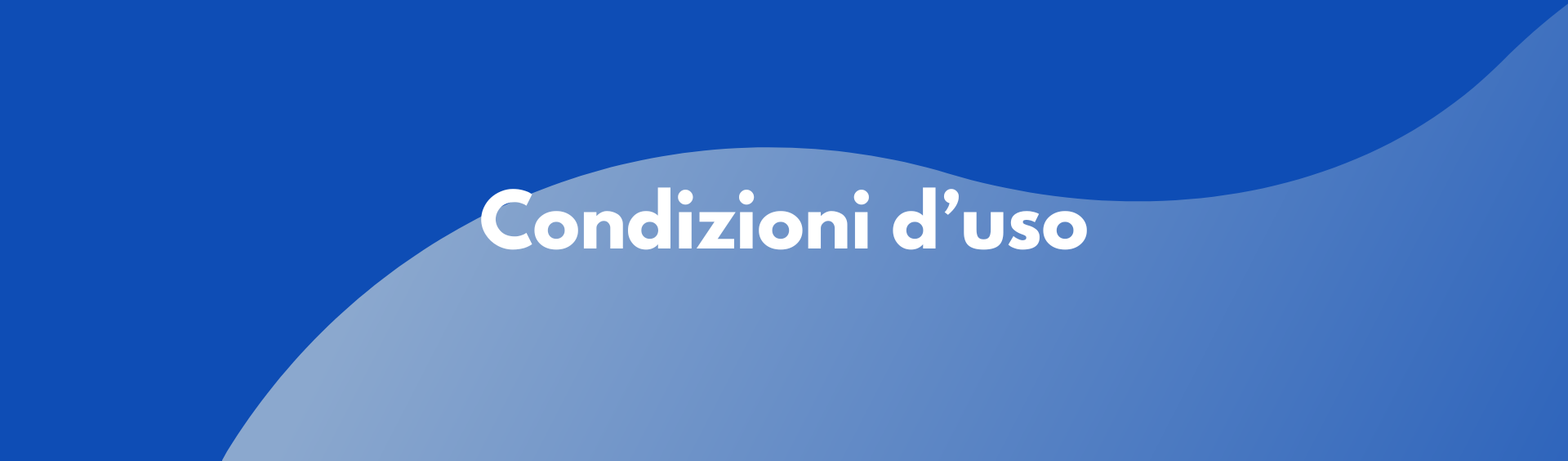 Condizioni d'uso